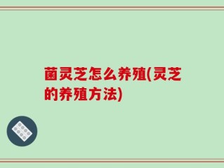 菌灵芝怎么养殖(灵芝的养殖方法)