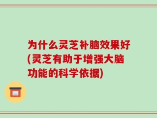 为什么灵芝补脑效果好(灵芝有助于增强大脑功能的科学依据)