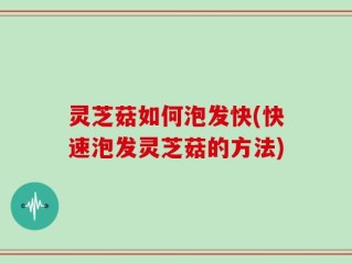 灵芝菇如何泡发快(快速泡发灵芝菇的方法)
