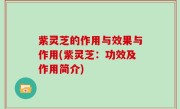紫灵芝的作用与效果与作用(紫灵芝：功效及作用简介)