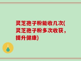 灵芝孢子粉能收几次(灵芝孢子粉多次收获，提升健康)