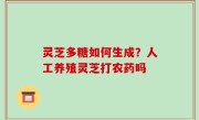 灵芝多糖如何生成？人工养殖灵芝打农药吗