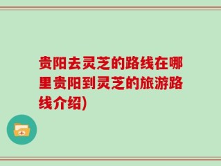 贵阳去灵芝的路线在哪里贵阳到灵芝的旅游路线介绍)