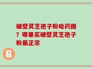 破壁灵芝孢子粉哈药图？哪里买破壁灵芝孢子粉最正宗