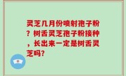 灵芝几月份喷射孢子粉？树舌灵芝孢子粉接种，长出来一定是树舌灵芝吗？