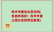 苏中平原生长灵芝吗(生态环境好！苏中平原上现已见到灵芝萌发)