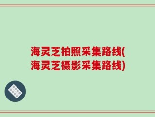 海灵芝拍照采集路线(海灵芝摄影采集路线)