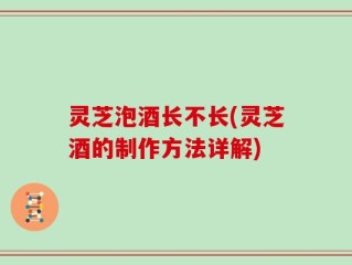 灵芝泡酒长不长(灵芝酒的制作方法详解)