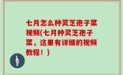 七月怎么种灵芝孢子菜视频(七月种灵芝孢子菜，这里有详细的视频教程！)