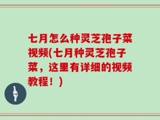 七月怎么种灵芝孢子菜视频(七月种灵芝孢子菜，这里有详细的视频教程！)