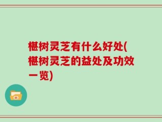 椹树灵芝有什么好处(椹树灵芝的益处及功效一览)