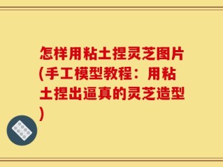 怎样用粘土捏灵芝图片(手工模型教程：用粘土捏出逼真的灵芝造型)