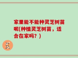 家里能不能种灵芝树苗呢(种植灵芝树苗，适合在家吗？)