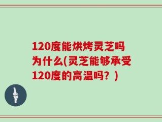 120度能烘烤灵芝吗为什么(灵芝能够承受120度的高温吗？)