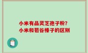 小米有品灵芝孢子粉？小米和苞谷榛子的区别