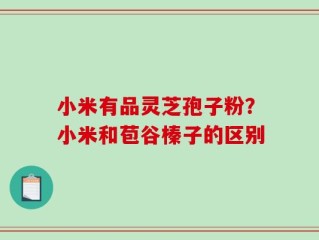 小米有品灵芝孢子粉？小米和苞谷榛子的区别