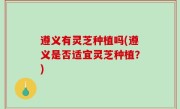 遵义有灵芝种植吗(遵义是否适宜灵芝种植？)