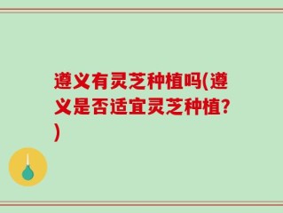 遵义有灵芝种植吗(遵义是否适宜灵芝种植？)