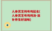 人参灵芝炖母鸡起名(人参灵芝母鸡炖汤-滋补养生好滋味)