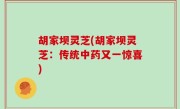 胡家坝灵芝(胡家坝灵芝：传统中药又一惊喜)