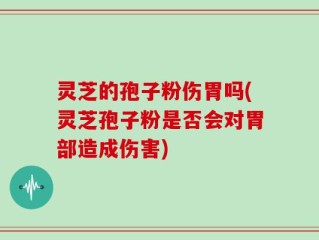 灵芝的孢子粉伤胃吗(灵芝孢子粉是否会对胃部造成伤害)