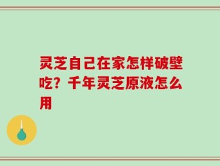 灵芝自己在家怎样破壁吃？千年灵芝原液怎么用