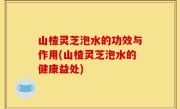山楂灵芝泡水的功效与作用(山楂灵芝泡水的健康益处)
