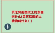 灵芝背面类似土的东西叫什么(灵芝后面的土状物叫什么？)