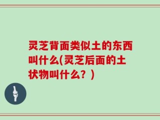 灵芝背面类似土的东西叫什么(灵芝后面的土状物叫什么？)