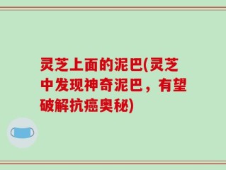 灵芝上面的泥巴(灵芝中发现神奇泥巴，有望破解抗癌奥秘)