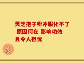 灵芝孢子粉冲服化不了 原因何在 影响功效且令人担忧