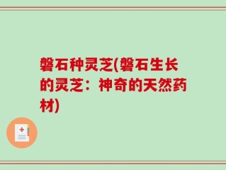 磐石种灵芝(磐石生长的灵芝：神奇的天然药材)