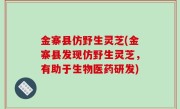 金寨县仿野生灵芝(金寨县发现仿野生灵芝，有助于生物医药研发)