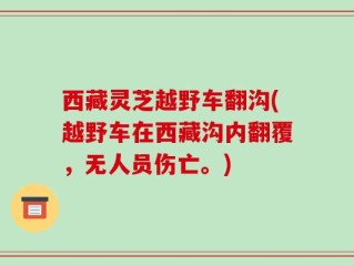 西藏灵芝越野车翻沟(越野车在西藏沟内翻覆，无人员伤亡。)