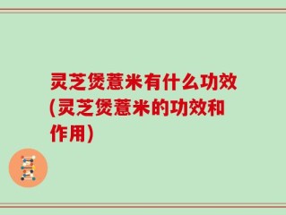 灵芝煲薏米有什么功效(灵芝煲薏米的功效和作用)