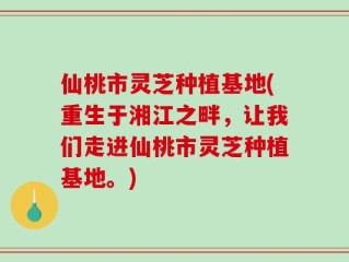 仙桃市灵芝种植基地(重生于湘江之畔，让我们走进仙桃市灵芝种植基地。)