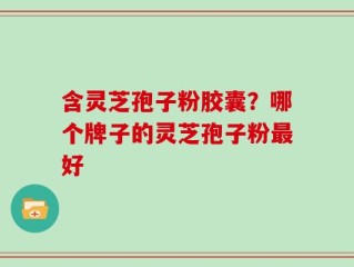 含灵芝孢子粉胶囊？哪个牌子的灵芝孢子粉最好