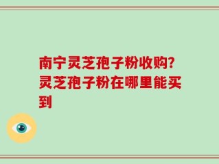 南宁灵芝孢子粉收购？灵芝孢子粉在哪里能买到