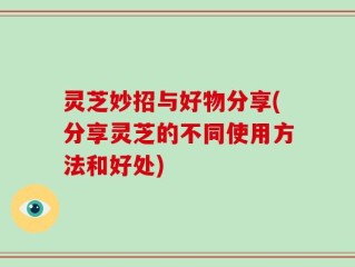 灵芝妙招与好物分享(分享灵芝的不同使用方法和好处)