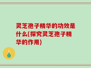 灵芝孢子精华的功效是什么(探究灵芝孢子精华的作用)
