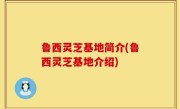 鲁西灵芝基地简介(鲁西灵芝基地介绍)
