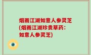 烟雨江湖如意人参灵芝(烟雨江湖珍贵草药：如意人参灵芝)