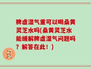 脾虚湿气重可以喝桑黄灵芝水吗(桑黄灵芝水能缓解脾虚湿气问题吗？解答在此！)