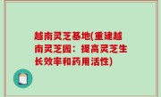 越南灵芝基地(重建越南灵芝园：提高灵芝生长效率和药用活性)