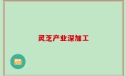 灵芝产业深加工