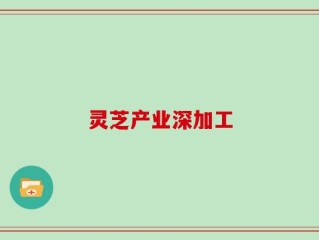 灵芝产业深加工
