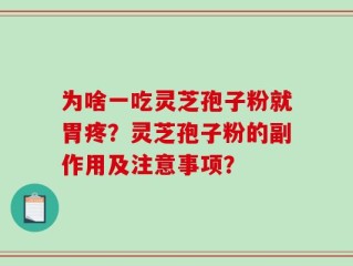 为啥一吃灵芝孢子粉就胃疼？灵芝孢子粉的副作用及注意事项？