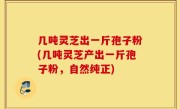 几吨灵芝出一斤孢子粉(几吨灵芝产出一斤孢子粉，自然纯正)