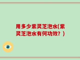 用多少紫灵芝泡水(紫灵芝泡水有何功效？)