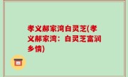 孝义郝家湾白灵芝(孝义郝家湾：白灵芝富润乡情)